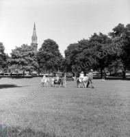 Harrogate, The Stray